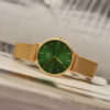 DANIEL WELLINGTON PETITE DW00100480