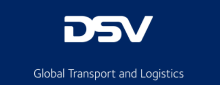 dsv-logo